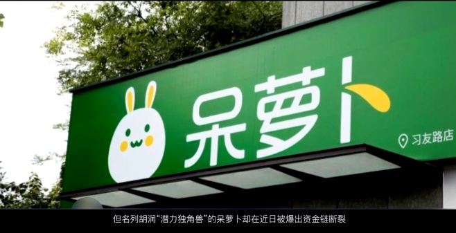 呆萝卜们掉进了“坑” 生鲜电商的风口还能飞多久？